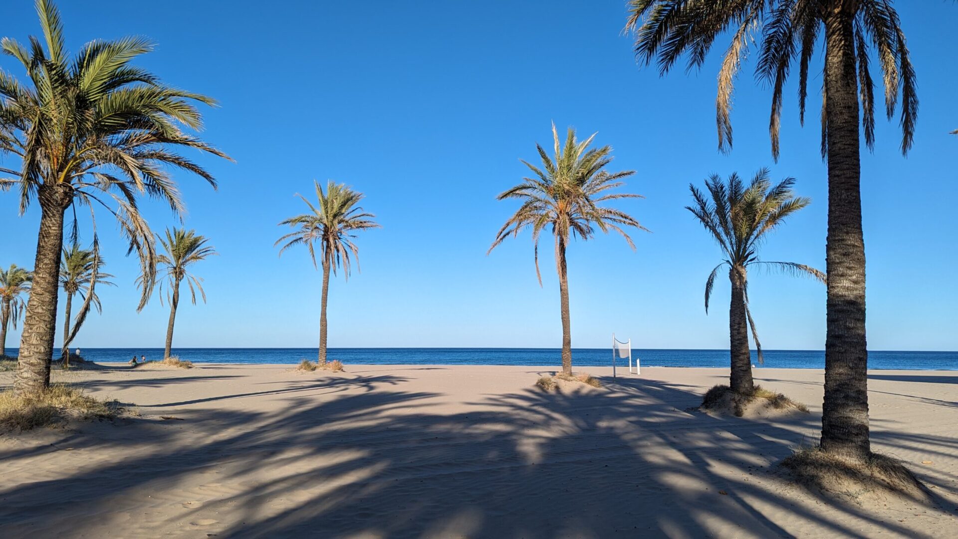 playadegandia scaled