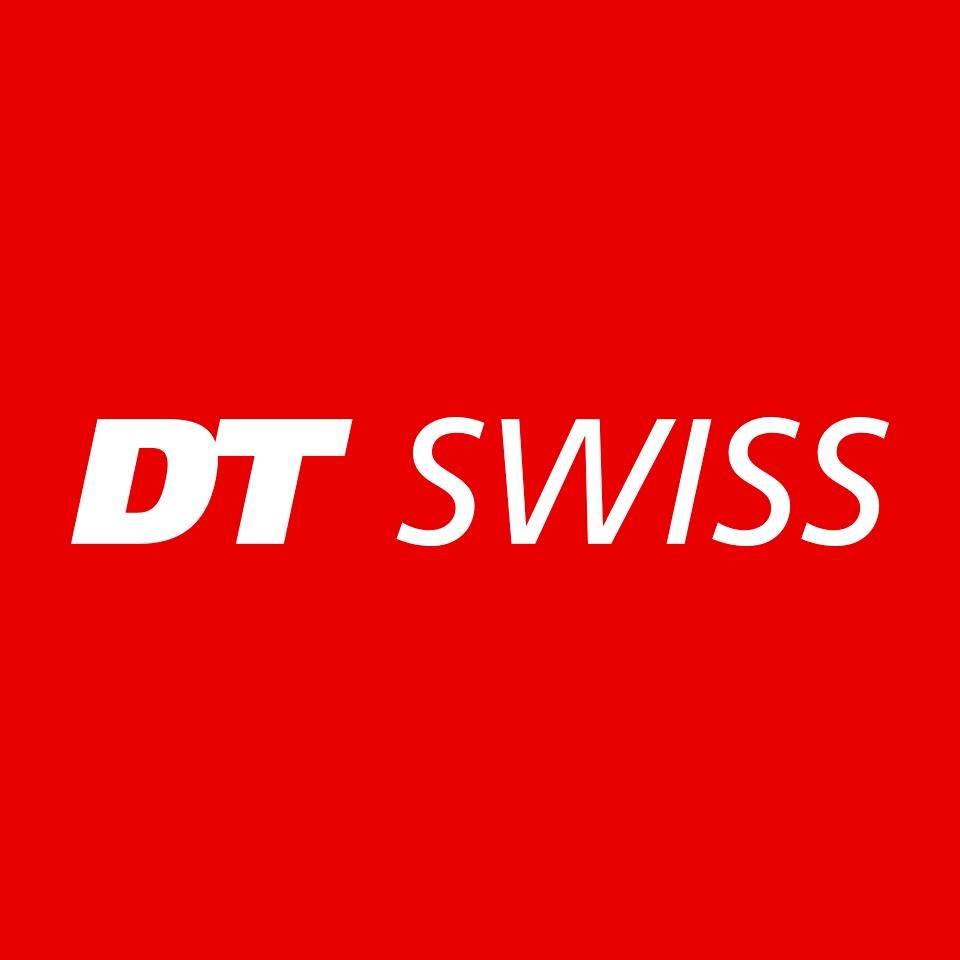 Logo DT Swsis