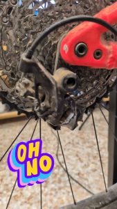 619236905 1263498088931238 670496501094406162 n