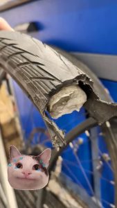 620998886 25976308718676386 2984416991142067473 n